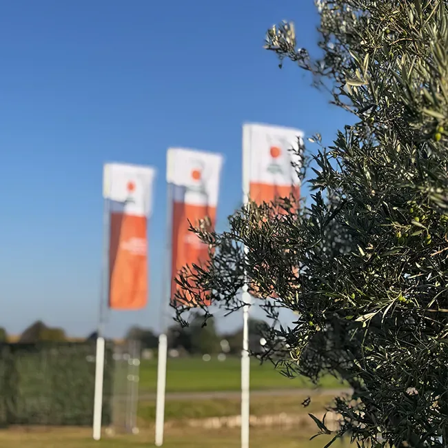 Drie oranje mastvlaggen langs een veld bij een evenement