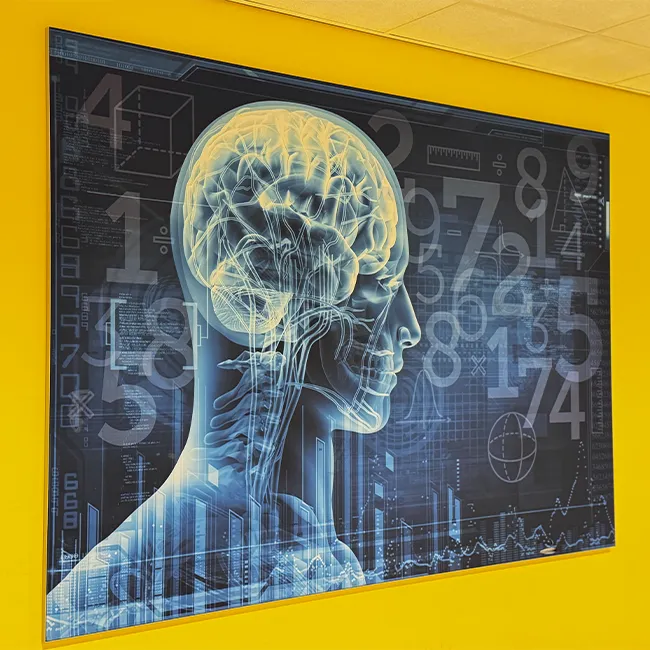 School wetenschap visualisatie educatieve wandgraphic wetenschapslokaal
