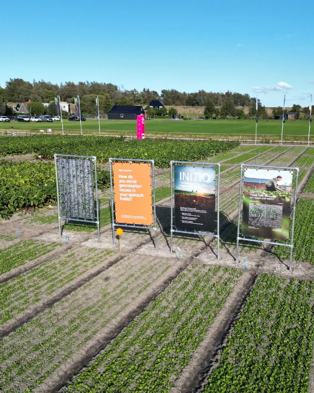Modulaire buizenframes in een rij op het Popfest-terrein
