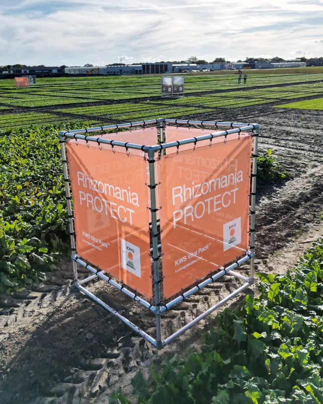 Kubus-spandoekframe als 3D-display voor Popfest
