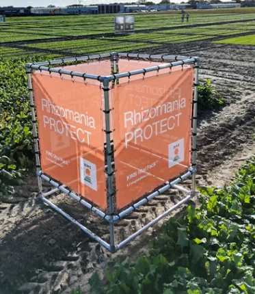 Promotiemateriaal Pop Vriend Seeds