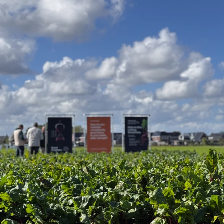 Pop Vriend Seeds proefveld gewassen landbouw