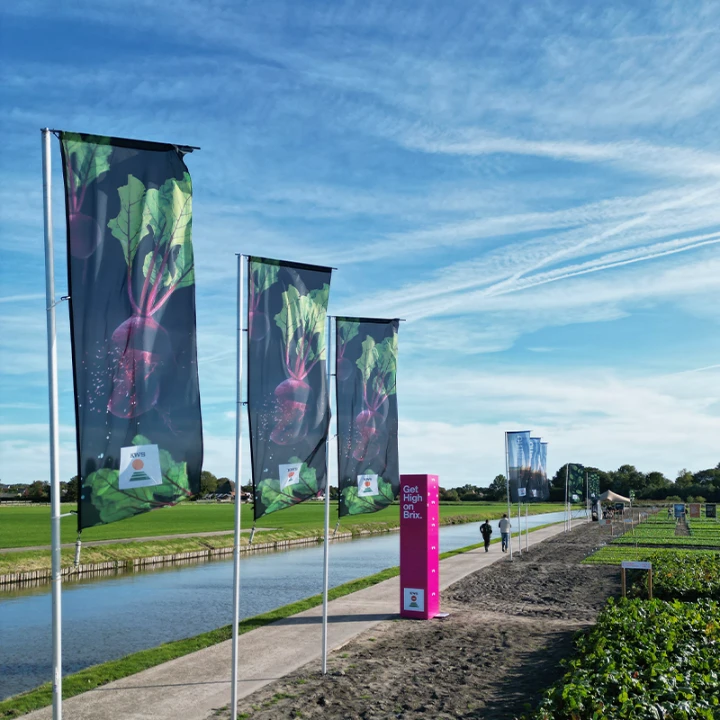 Pop Vriend Seeds evenement signing detail