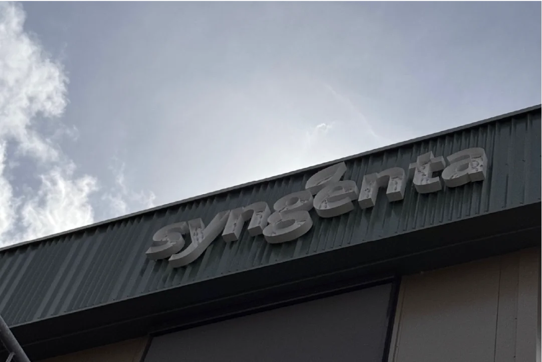 Syngenta Seeds