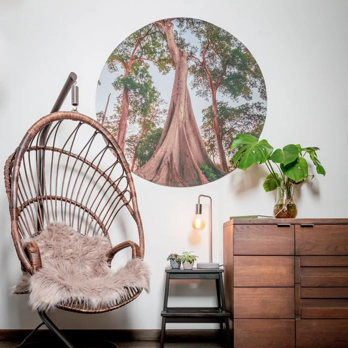 Behangcirkel met een boom, geplakt in een woonkamer naast een rieten stoel