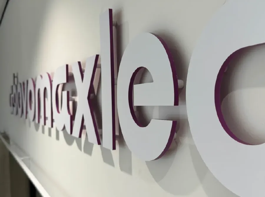 Kunststof letters in paars met witte zijkant voor Abovomaxlead