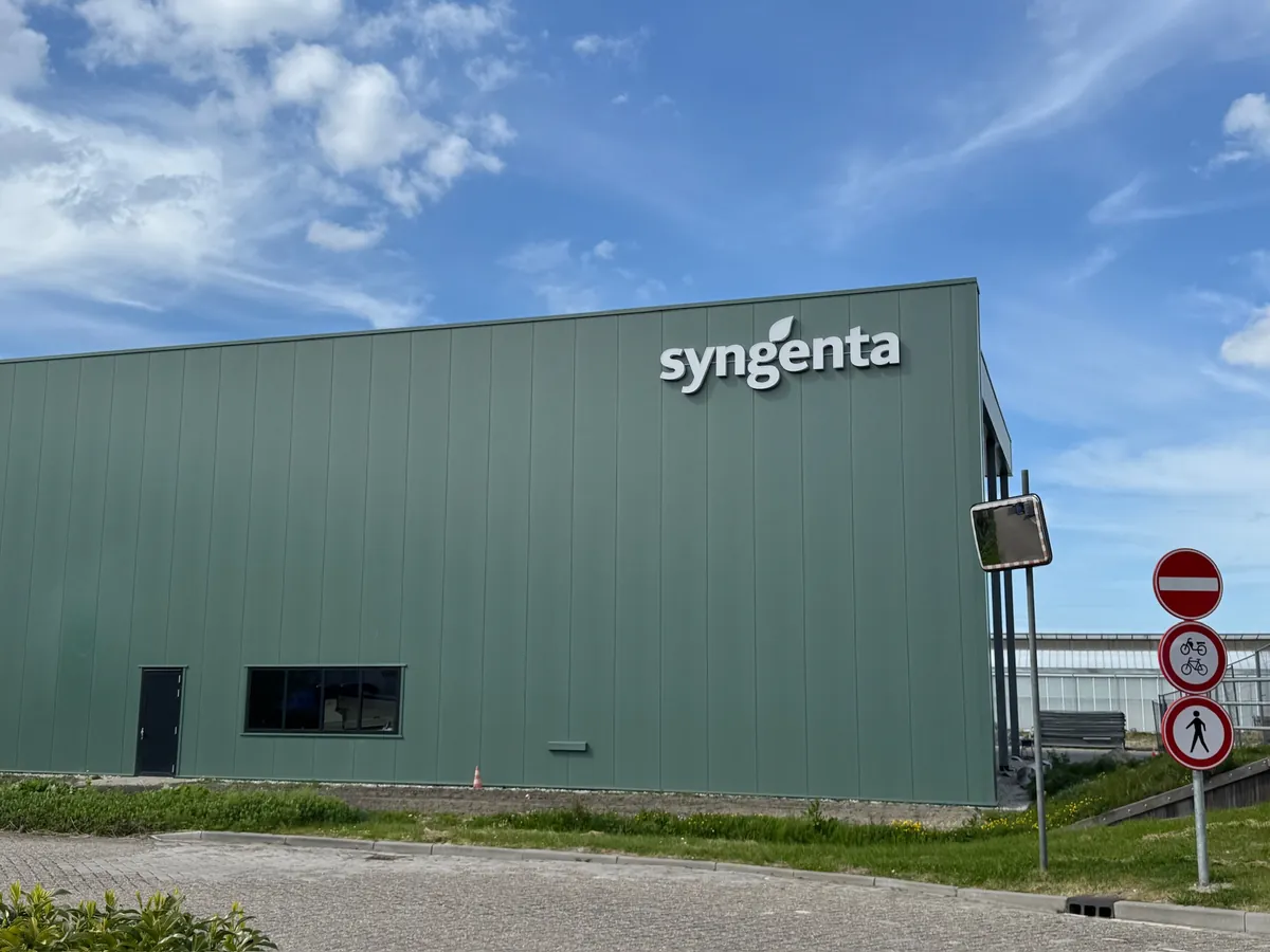 Groene hal met de letters syngenta bovenaan de gevel